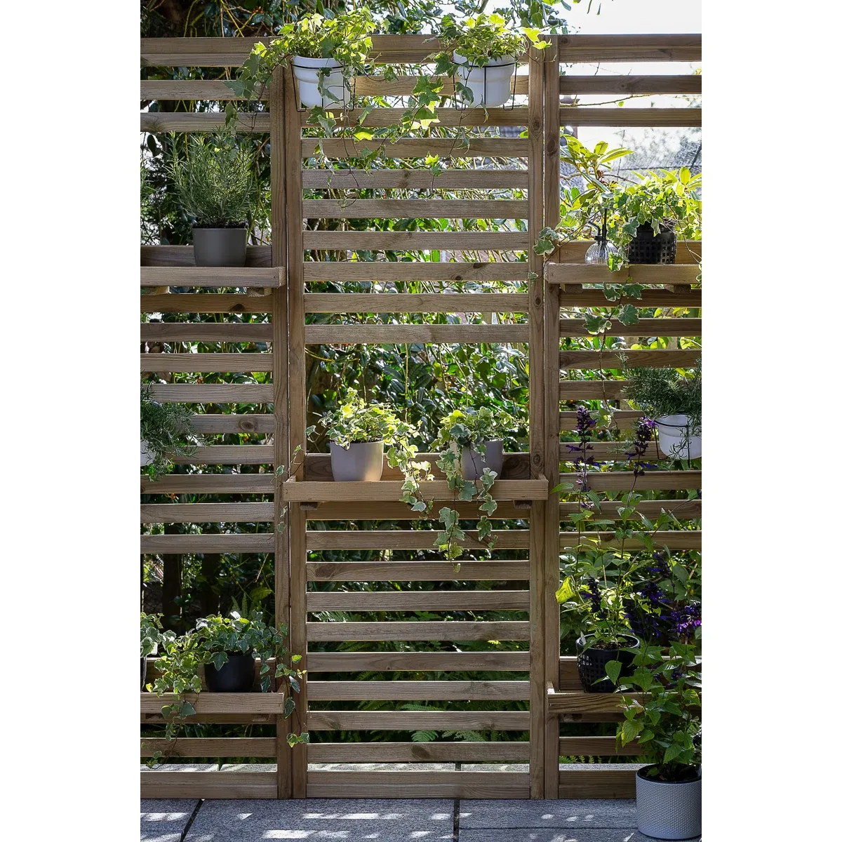 This Slatted Screen Adds Privacy And Plants to Your Garden |