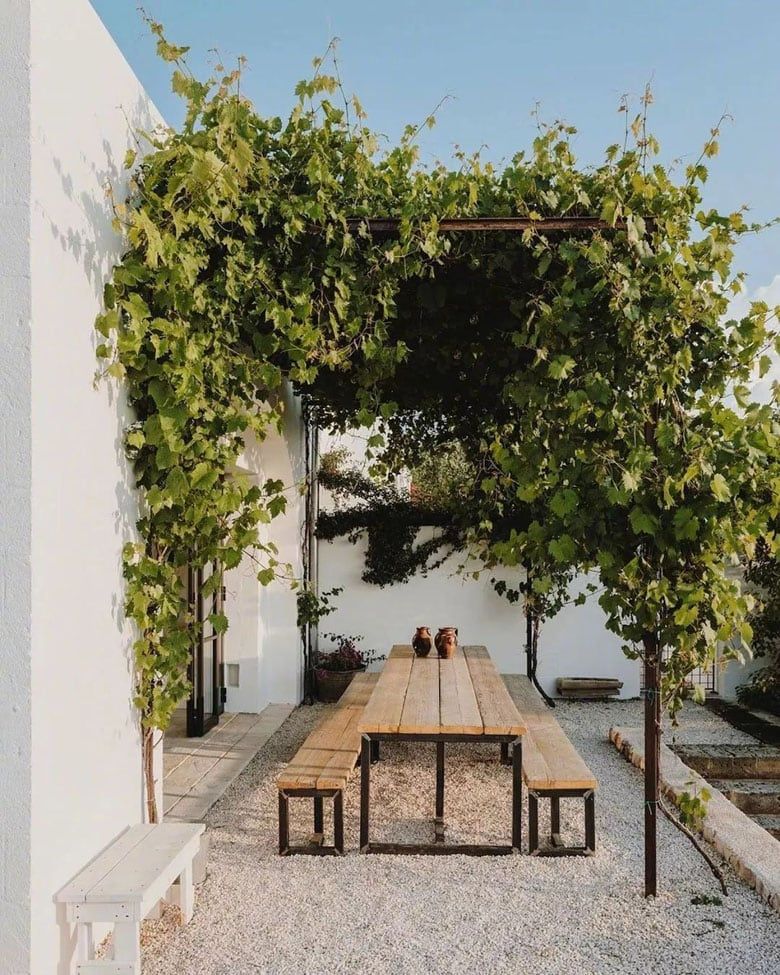 pergola vine canopy by MrTripper in a minimalist outdoor dining area with a wooden bench seat table.