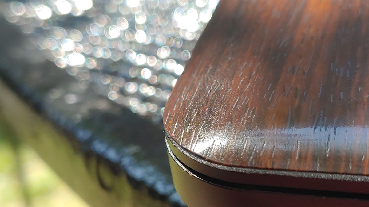 close-up with telephoto