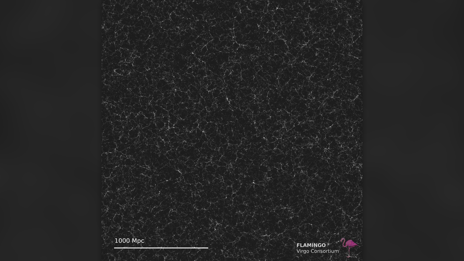Gpc box showing quantity of stars (stellar surface density) in a logarithmic color scale to visualise faint structures.