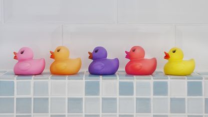 Five rubber ducks in different colors are lined up on a tiled bathroom ledge. 