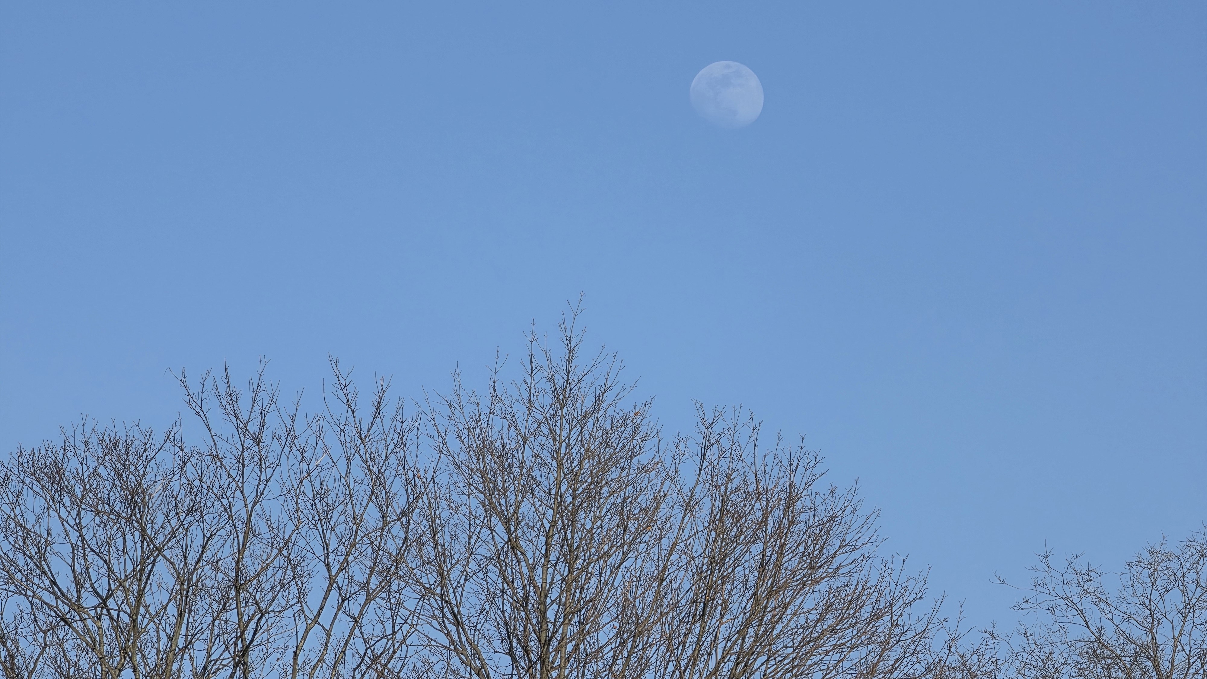 Samsung Galaxy S26 Ultra