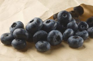 Blueberries, negative calorie foods