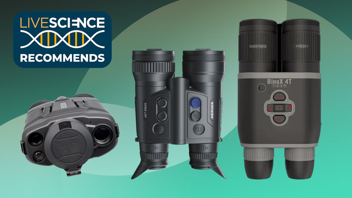Best thermal binoculars: Observe nocturnal wildlife after dark