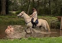 Boekelo-video.jpg