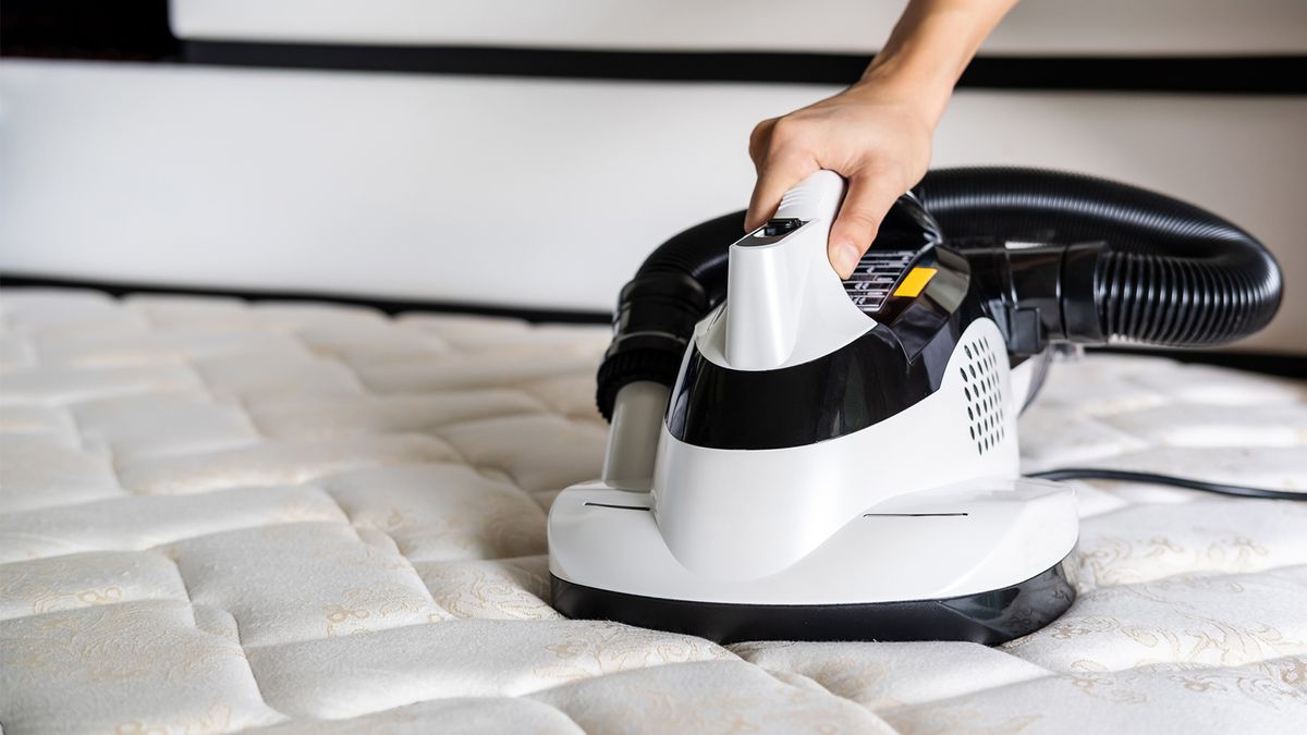 mattress cleaning price reading
