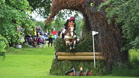 A chestnut horse with a white blaze jumps a brush owl hole fence towards the camera on the Bramham 2025 cross-country track.