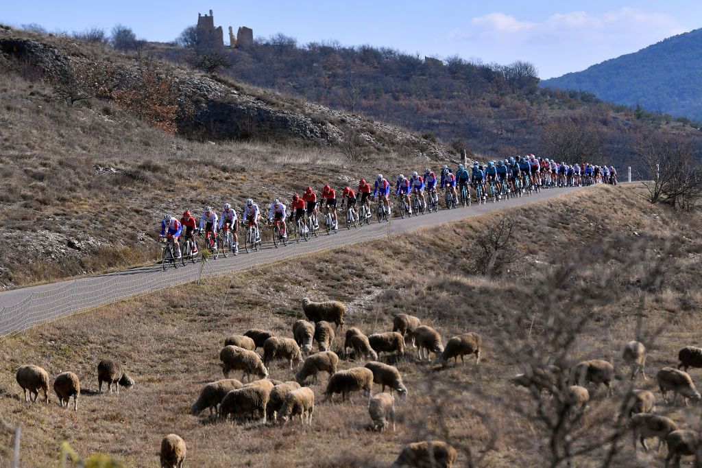 A general view of the peloton during stage 3 of the 2022 Tour de La Provence