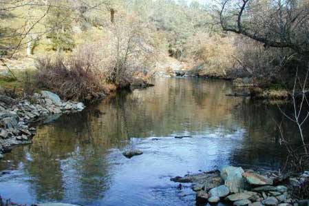 Types of Ecosystems: Biomes