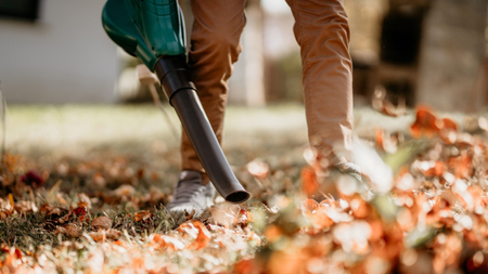 bosch autumn gardening