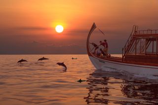 An image taken from the Kuda Villingili resort at sea with a boat and dolphin