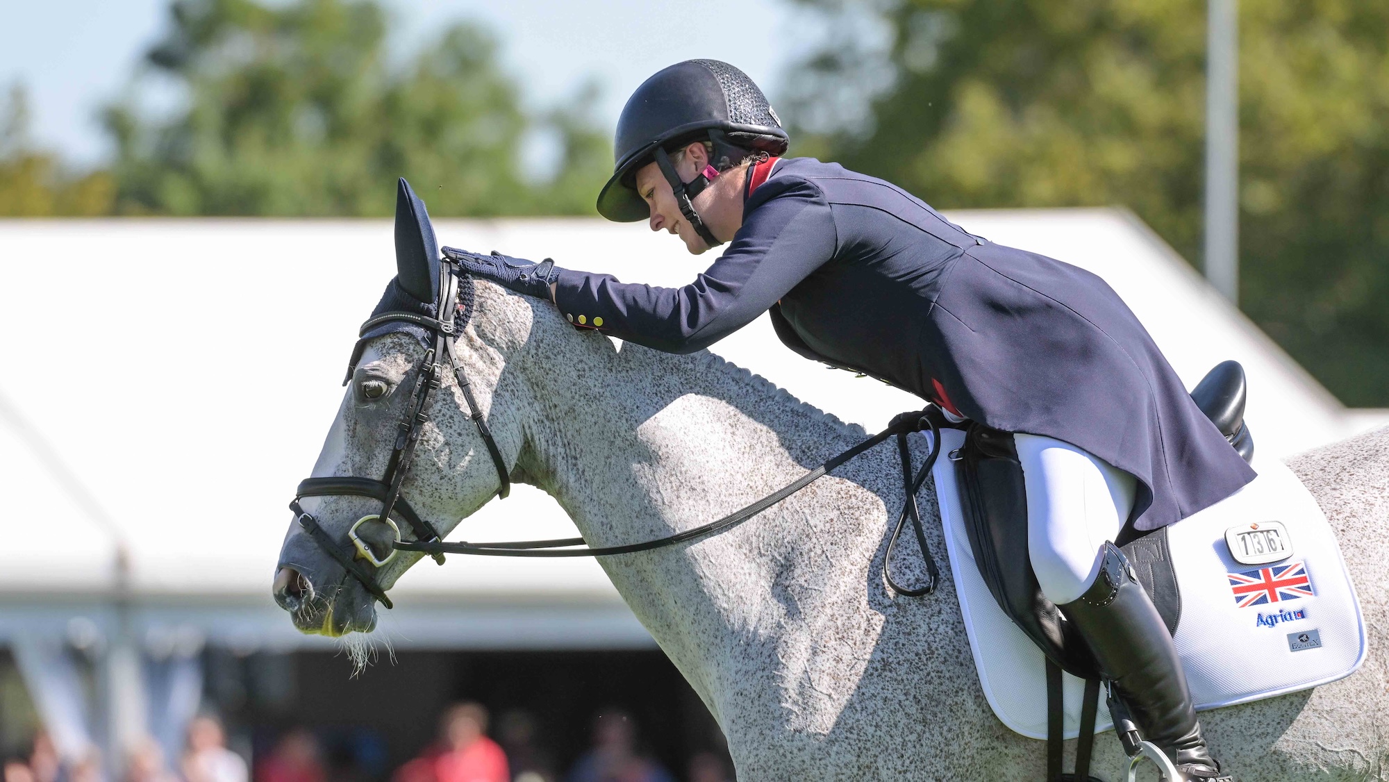 Image shows rider Gemma Stevens scratching the poll of grey horse Flash Cooley after their dressage test