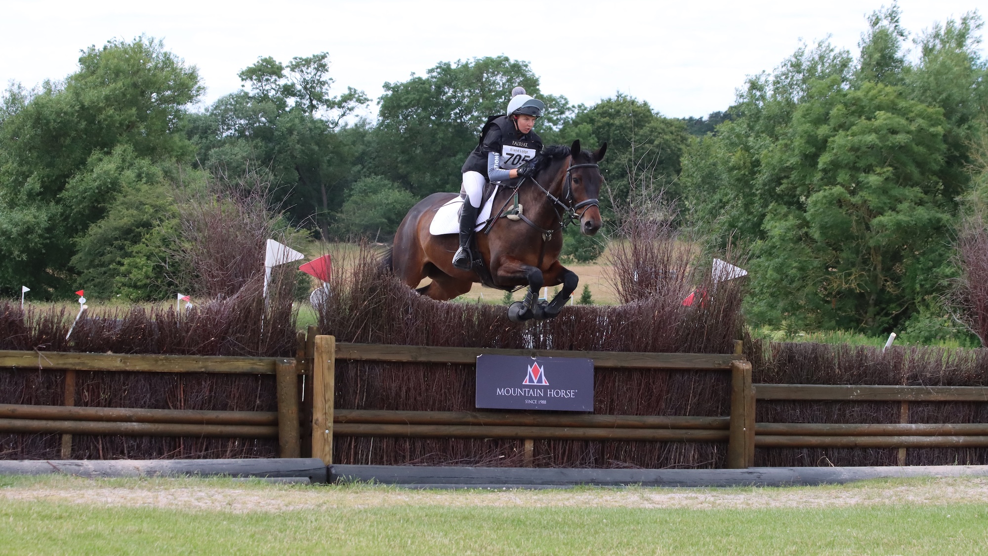 A rider and bay horse jumping a brush fence across country
