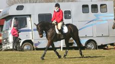 The signs of Azoturia/ERS are typically seen during the warm up section of a horse&rsquo;s exercise session.