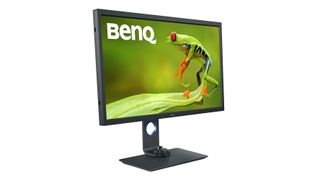 BenQ SW321C PhotoVue showing a photo of a frog