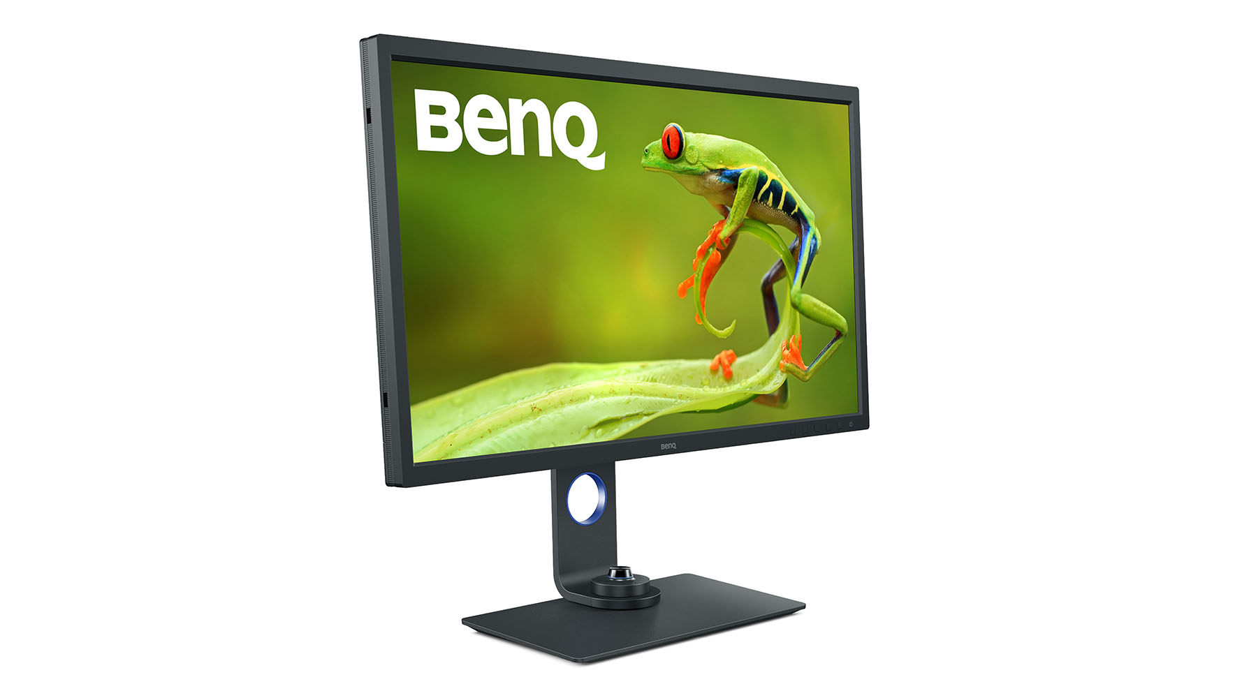 BenQ SW321C PhotoVue showing photo of frog
