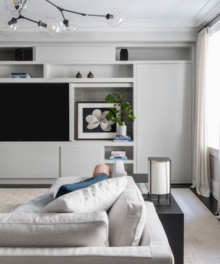 Small living room TV with monochrome scheme