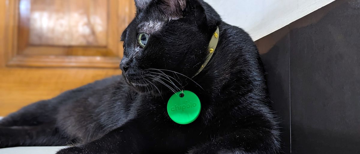 Chipolo One Bluetooth tracker attached to a handsome black cat&#039;s collar.