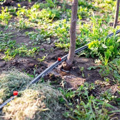 Drip watering irrigation system