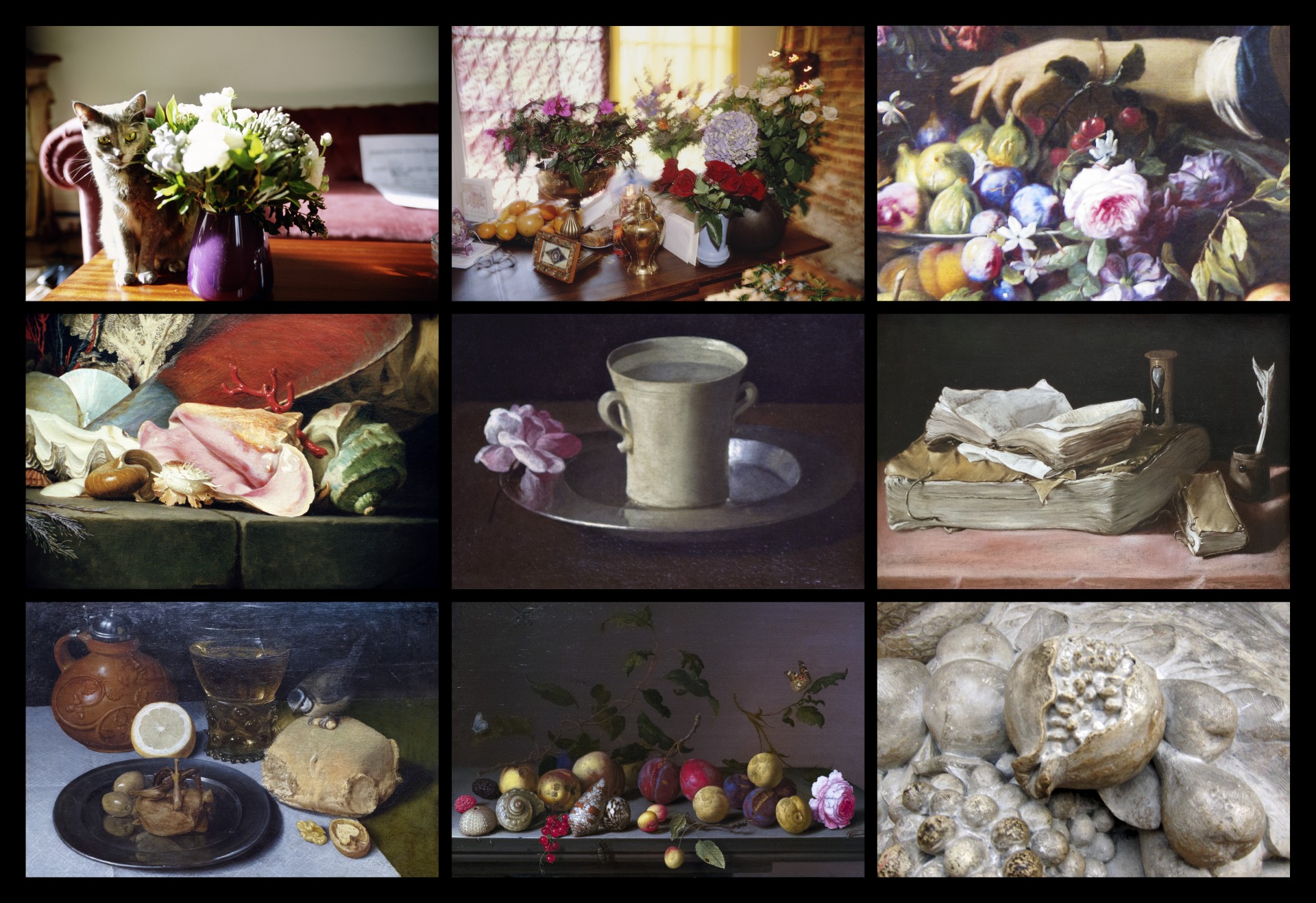 Grid of nine still life photographs featuring flower arrangements, porcelain cups, fruit, shells and books in various lighting conditions.