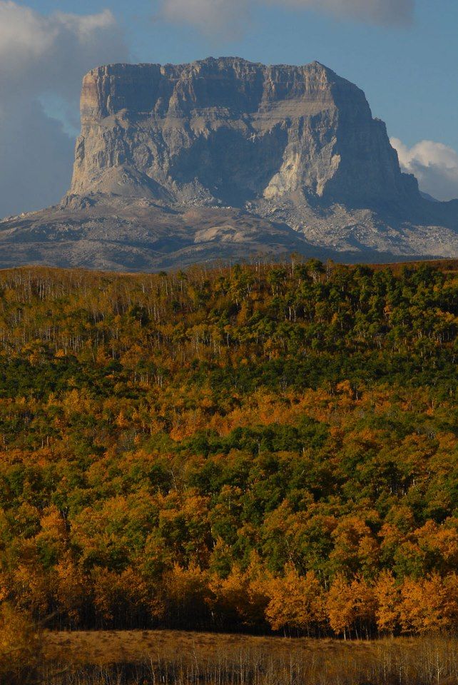 Fall Leaves at Glacier National Park