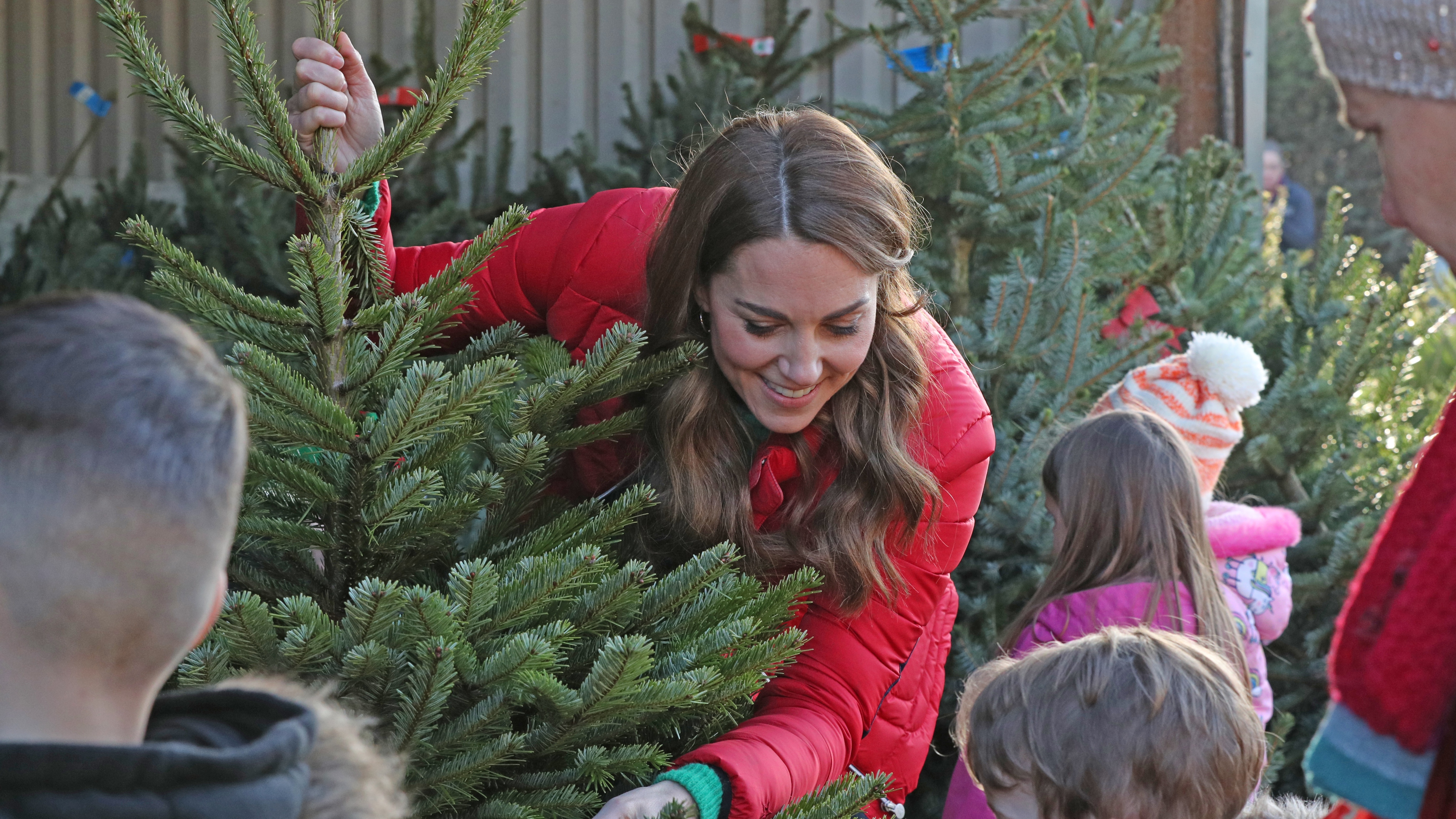 Catherine, Princess of Wales is helped by children to pick a Christmas tree during a visit to Peterley Manor Farm