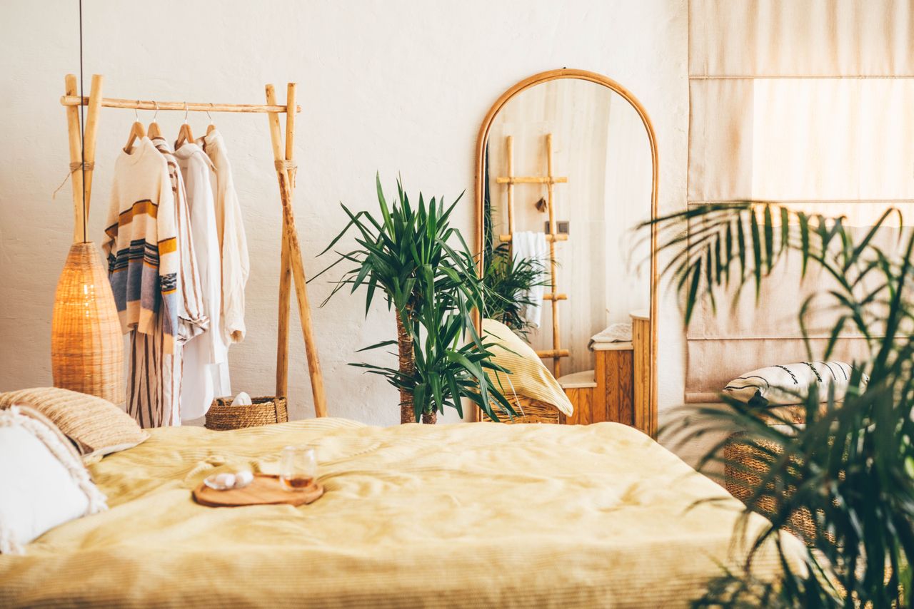 A bed next to a clothing rail and large pot plant.