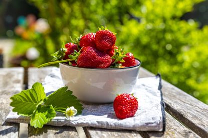 how to grow strawberries fresh strawberries in bowl