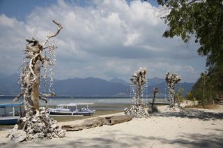 Sculptures made of seashells, driftwood and chunks of coral that are draped and strung over dried-out, sun-bleached tree trunks.