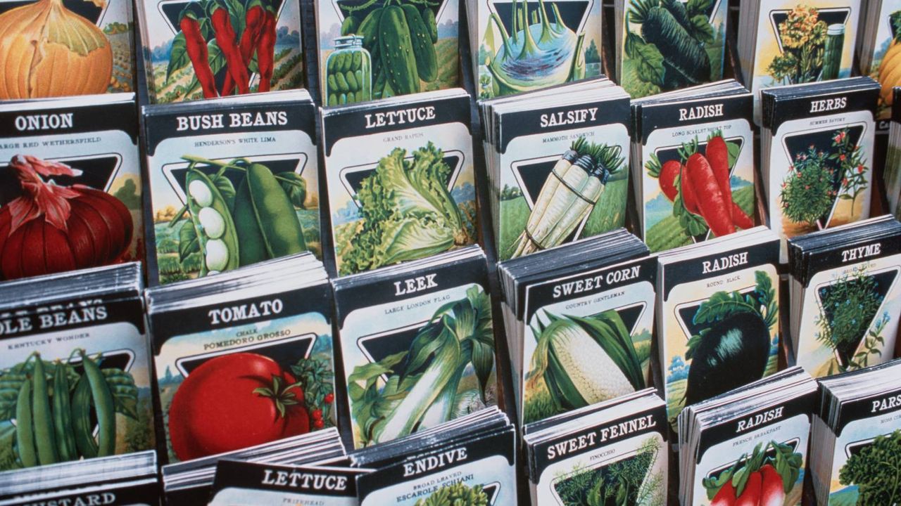 Seed packets on display in a store