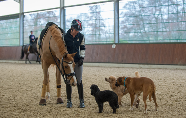 Gio and Charlotte Dujardin at home