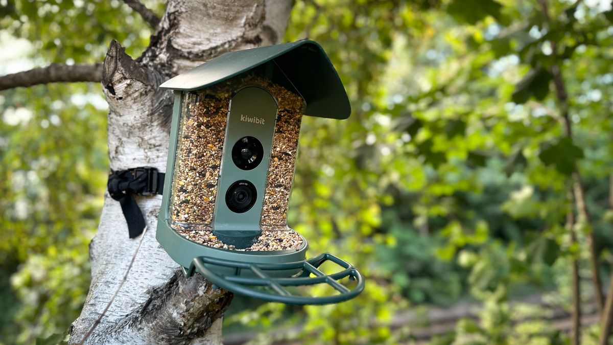 I tested the Kiwibit Beako Smart Bird Feeder camera, and it's a polished first effort with reliable AI bird detection skills