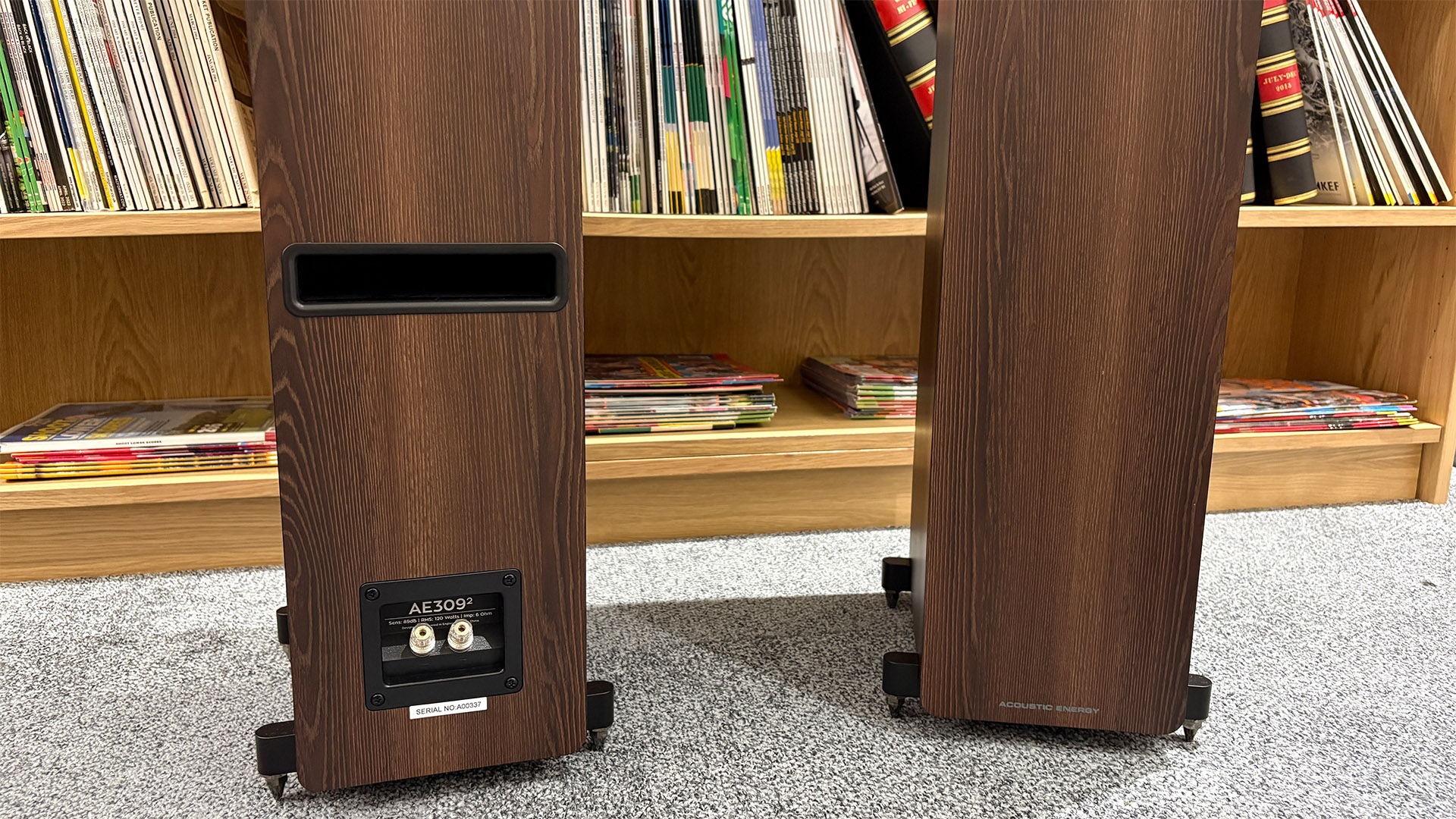 Acoustic Energy AE309 Mk2 floorstanding speakers in front of bookcase, one is showing rear of cabinet and binding posts