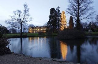 wakehurst christmas tree with lake