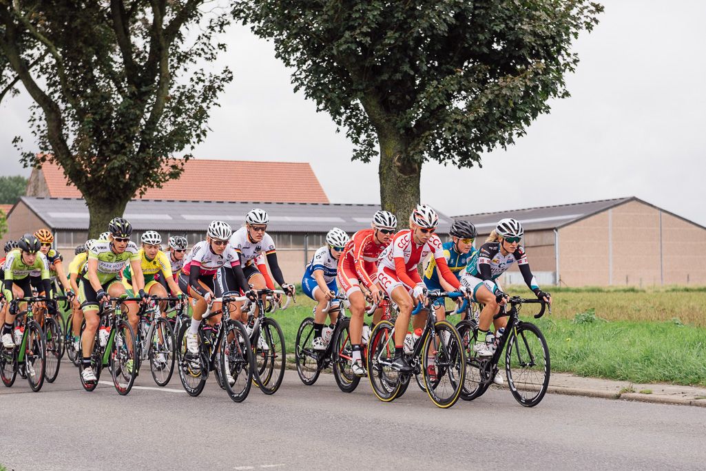 The peloton in the early stages of the race