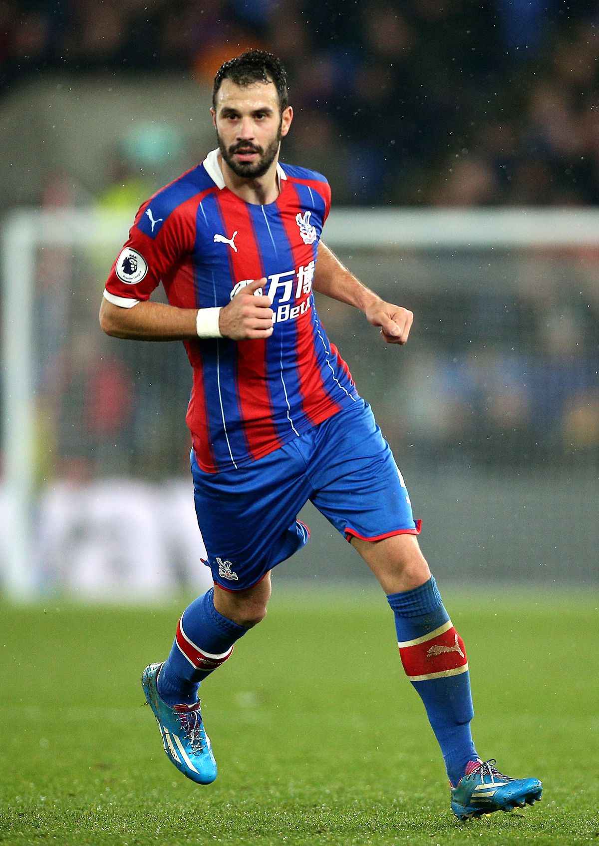 Crystal Palace v Brighton and Hove Albion – Premier League – Selhurst Park