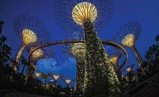 Gardens by the Bay, Bay South, Singapore
