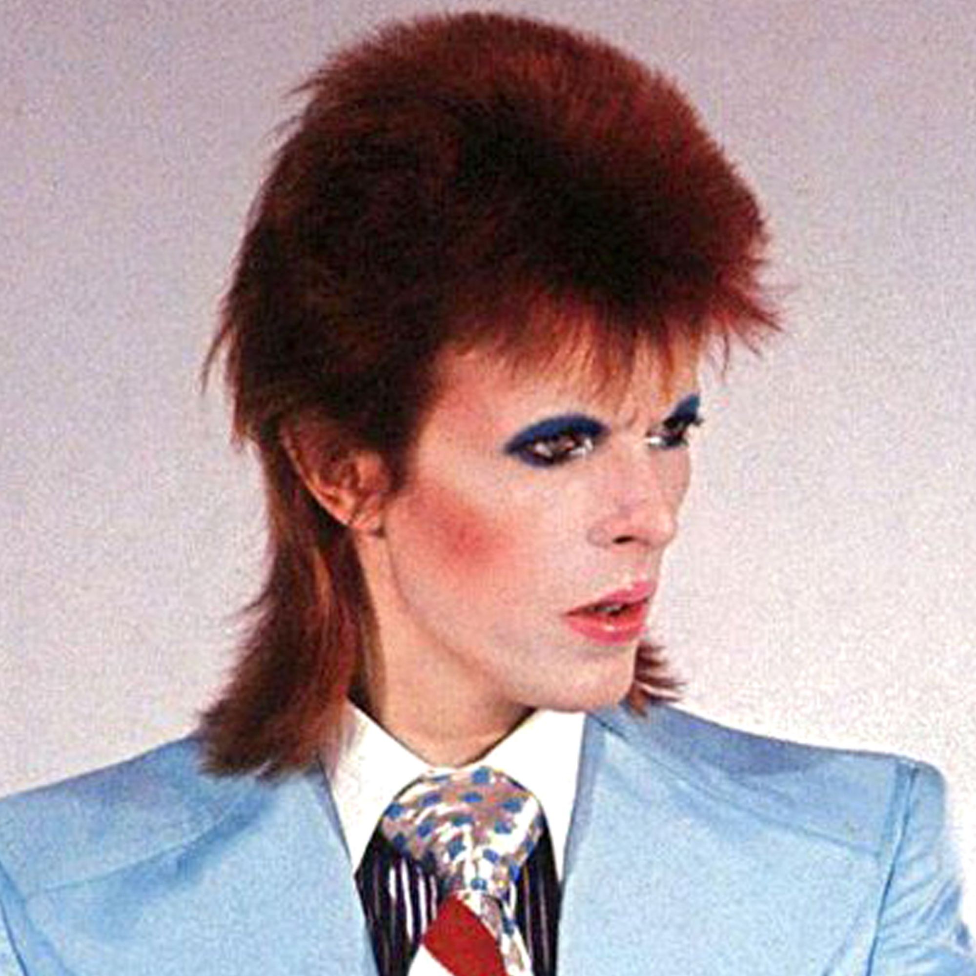 Stardust Mens Adult David Bowie 70s Rock Star Halloween Costume