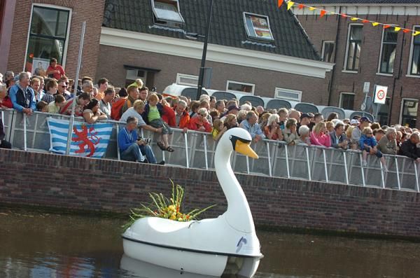 A swan in the canal watches the vvv.