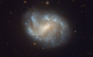 Galaxy NGC 1483