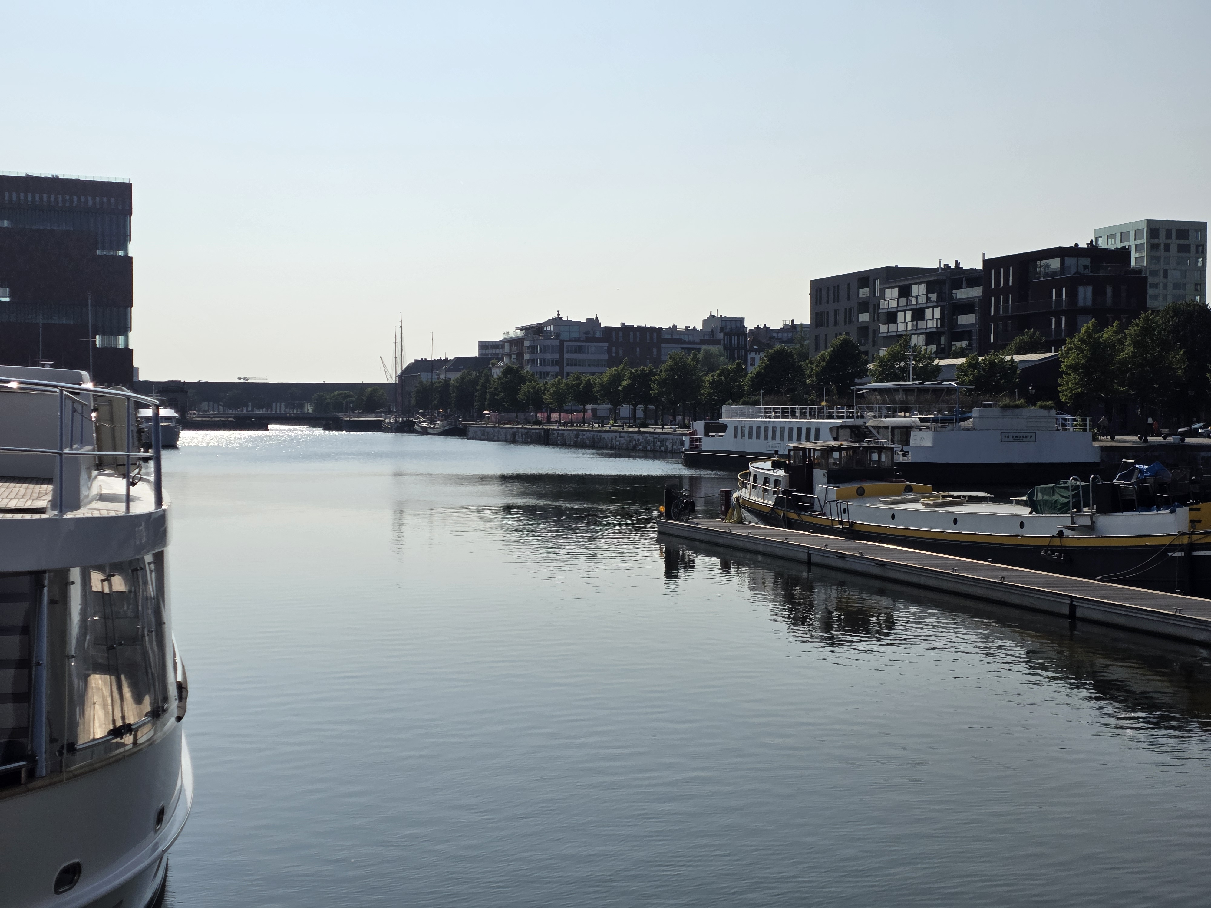 Samsung Galaxy S25 Edge voorbeeldfoto