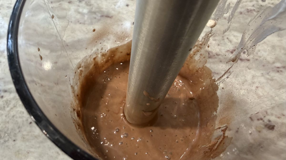 Ninja Power Duo Immersion Blender with Whisk making frozen yogurts