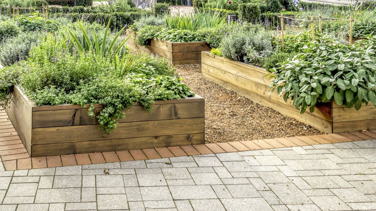 Wooden raised garden beds