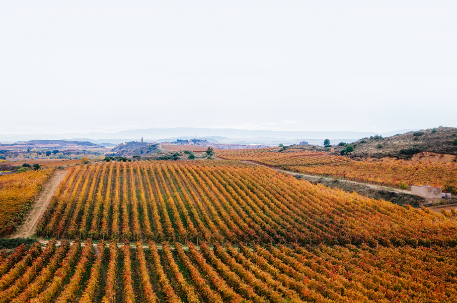 Mirto Ram&oacute;n Bilbao