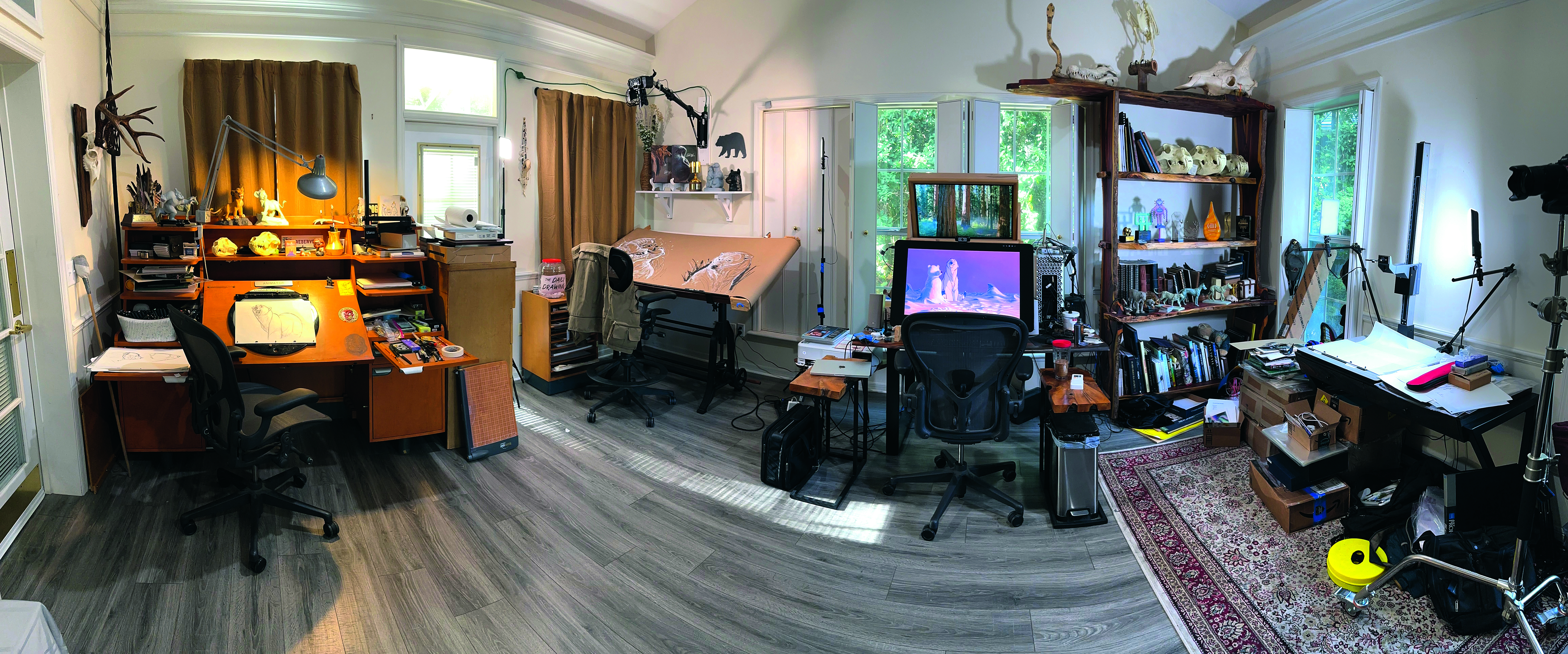 Images from Aaron Blaise's art studio