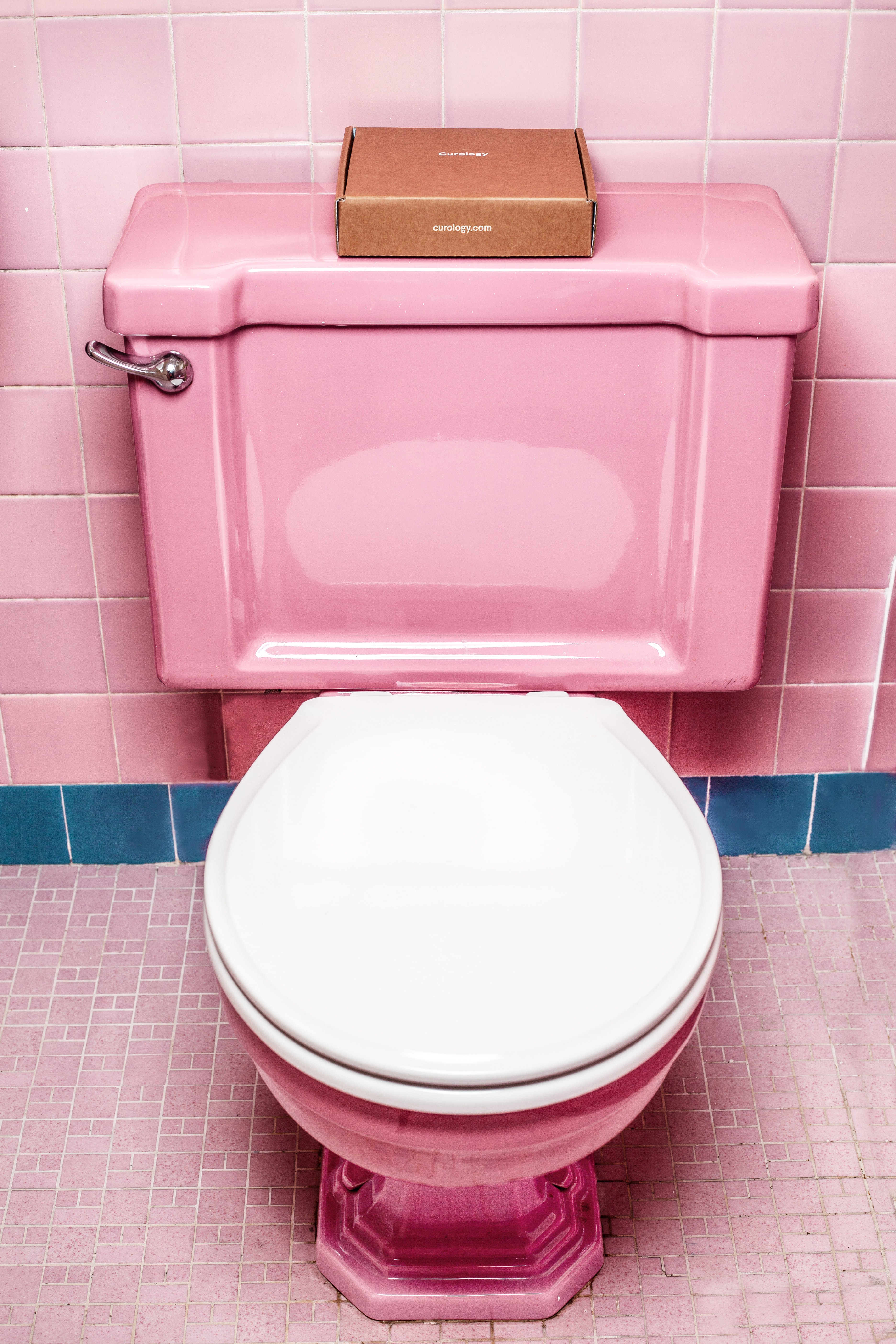 Pink toilet