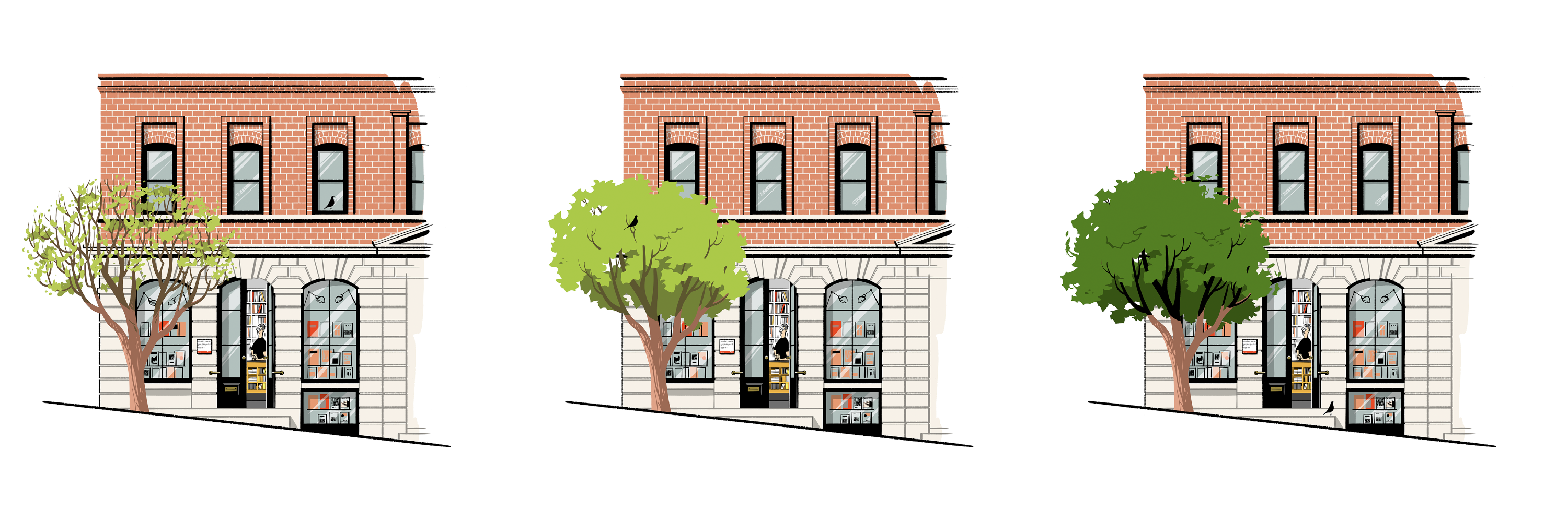 Hashimoto's seasonal exploration of the storefront: Early Spring, Spring and Summer