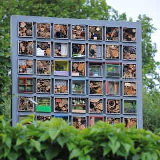 garden with vertical insect hotel