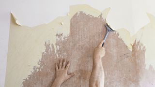 removing wallpaper guide