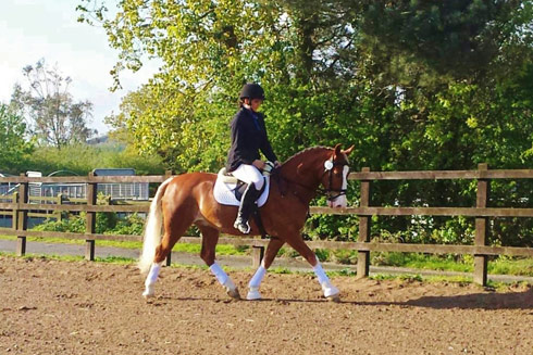 Emily Ham's Alfie warming up for ridden dressage with Naiomi